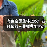 有色金属集体上攻!业绩反转+供需博弈驱动行情爆发(图1) 有色金属集体上攻!业绩反转+供需博弈驱动行情爆发(图1)