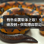 有色金属集体上攻!业绩反转+供需博弈驱动行情爆发(图3) 有色金属集体上攻!业绩反转+供需博弈驱动行情爆发(图3)