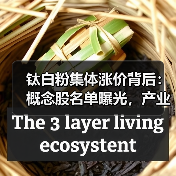 钛白粉集体涨价背后：概念股名单曝光，产业链怎么走？（图4）
