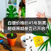 白银价格创45年新高，超级周期是否已开启？（图2）