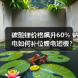 碳酸锂价格飙升60% 钠电如何补位锂电短板?(图2) 碳酸锂价格飙升60% 钠电如何补位锂电短板?(图2)