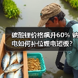 碳酸锂价格飙升60% 钠电如何补位锂电短板?(图4) 碳酸锂价格飙升60% 钠电如何补位锂电短板?(图4)