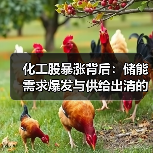 化工股暴涨背后:储能需求爆发与供给出清的双重驱动(图3) 化工股暴涨背后:储能需求爆发与供给出清的双重驱动(图3)
