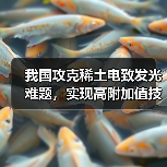 我国攻克稀土电致发光难题,实现高附加值技术突破(图2) 我国攻克稀土电致发光难题,实现高附加值技术突破(图2)