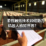 柔性触觉技术如何助力机器人感知世界?(图4) 柔性触觉技术如何助力机器人感知世界?(图4)