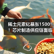 稀土元素钇暴涨1500%!芯片制造供应链面临挑战(图2) 稀土元素钇暴涨1500%!芯片制造供应链面临挑战(图2)
