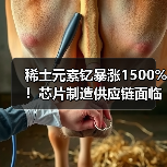 稀土元素钇暴涨1500%!芯片制造供应链面临挑战(图4) 稀土元素钇暴涨1500%!芯片制造供应链面临挑战(图4)