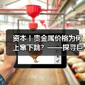 资本丨贵金属价格为何上窜下跳?——探寻巨幅波动背后推手(图3) 资本丨贵金属价格为何上窜下跳?——探寻巨幅波动背后推手(图3)