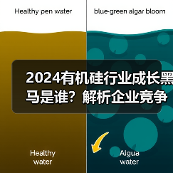 2024有机硅行业成长黑马是谁?解析企业竞争力(图2) 2024有机硅行业成长黑马是谁?解析企业竞争力(图2)