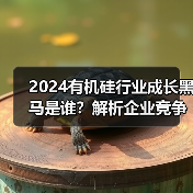 2024有机硅行业成长黑马是谁?解析企业竞争力(图1) 2024有机硅行业成长黑马是谁?解析企业竞争力(图1)
