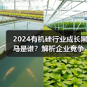 2024有机硅行业成长黑马是谁?解析企业竞争力(图3) 2024有机硅行业成长黑马是谁?解析企业竞争力(图3)