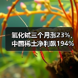 氧化铽三个月涨23%,中国稀土净利飙194%,重稀土龙头周期反转(图1) 氧化铽三个月涨23%,中国稀土净利飙194%,重稀土龙头周期反转(图1)