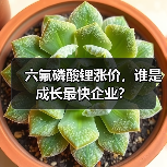六氟磷酸锂涨价,谁是成长最快企业?(图4) 六氟磷酸锂涨价,谁是成长最快企业?(图4)
