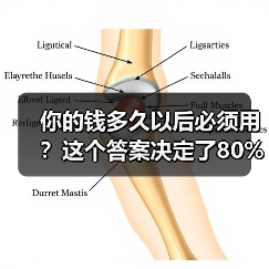 你的钱多久以后必须用?这个答案决定了80%的投资风险(图2) 你的钱多久以后必须用?这个答案决定了80%的投资风险(图2)