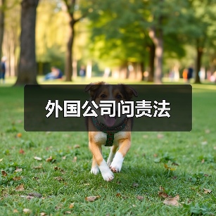外国公司问责法(图1) 外国公司问责法(图1)