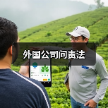 外国公司问责法(图4) 外国公司问责法(图4)