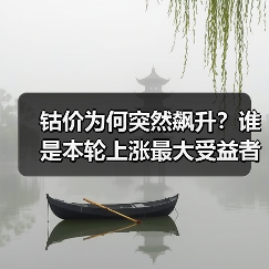 钴价为何突然飙升？谁是本轮上涨最大受益者？（图2）