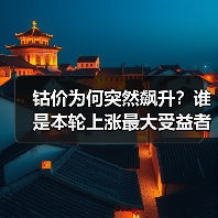 钴价为何突然飙升？谁是本轮上涨最大受益者？（图3）