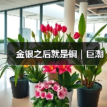 金银之后就是铜｜巨潮（图4）