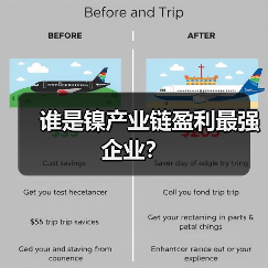 谁是镍产业链盈利最强企业？（图1）