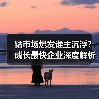 钴市场爆发谁主沉浮?成长最快企业深度解析(图1) 钴市场爆发谁主沉浮?成长最快企业深度解析(图1)