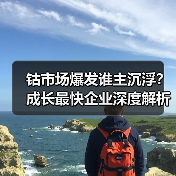 钴市场爆发谁主沉浮?成长最快企业深度解析(图4) 钴市场爆发谁主沉浮?成长最快企业深度解析(图4)