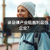 谁是镍产业链盈利最强企业？（图3）