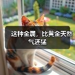 这种金属,比黄金天然气还猛(图4) 这种金属,比黄金天然气还猛(图4)