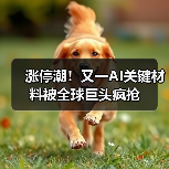 涨停潮!又一AI关键材料被全球巨头疯抢(图2) 涨停潮!又一AI关键材料被全球巨头疯抢(图2)