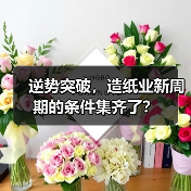 逆势突破，造纸业新周期的条件集齐了？（图3）
