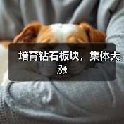 培育钻石板块，集体大涨（图1）