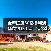 全年狂揽60亿净利润,华友钴业上演“大象起舞”(图1) 全年狂揽60亿净利润,华友钴业上演“大象起舞”(图1)