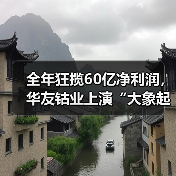 全年狂揽60亿净利润,华友钴业上演“大象起舞”(图4) 全年狂揽60亿净利润,华友钴业上演“大象起舞”(图4)
