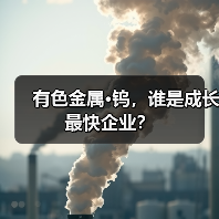 有色金属·钨，谁是成长最快企业？（图1）