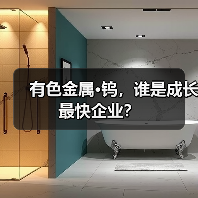 有色金属·钨，谁是成长最快企业？（图2）