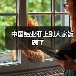 中国铝业盯上别人家饭碗了(图2) 中国铝业盯上别人家饭碗了(图2)