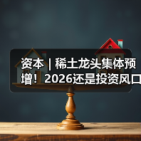 资本 | 稀土龙头集体预增!2026还是投资风口吗?(图4) 资本 | 稀土龙头集体预增!2026还是投资风口吗?(图4)