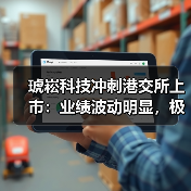 琥崧科技冲刺港交所上市：业绩波动明显，极其依赖少数客户（图2）