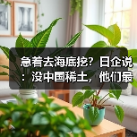 急着去海底挖?日企说:没中国稀土,他们最多撑3-6个月(图2) 急着去海底挖?日企说:没中国稀土,他们最多撑3-6个月(图2)