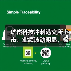 琥崧科技冲刺港交所上市：业绩波动明显，极其依赖少数客户（图3）