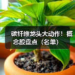 碳纤维龙头大动作!概念股盘点(名单)(图1) 碳纤维龙头大动作!概念股盘点(名单)(图1)
