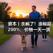 资本丨杀疯了!涨幅超200%,价格一天一跳,拐点在哪?(图1) 资本丨杀疯了!涨幅超200%,价格一天一跳,拐点在哪?(图1)