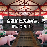 白银价格历史新高,周期走到哪了?(图4) 白银价格历史新高,周期走到哪了?(图4)