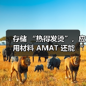 存储 “热得发烫”，应用材料 AMAT 还能 “沾光” 吗？（图4）