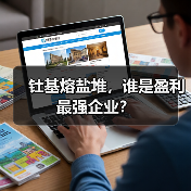 钍基熔盐堆，谁是盈利最强企业？（图1）