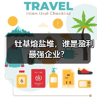 钍基熔盐堆，谁是盈利最强企业？（图3）
