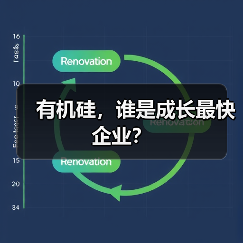 有机硅，谁是成长最快企业？（图2）