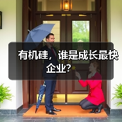有机硅，谁是成长最快企业？（图3）