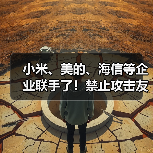 小米、美的、海信等企业联手了！禁止攻击友商，携手力推“铝代铜”（图1）