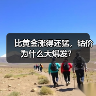 比黄金涨得还猛，钴价为什么大爆发？（图2）